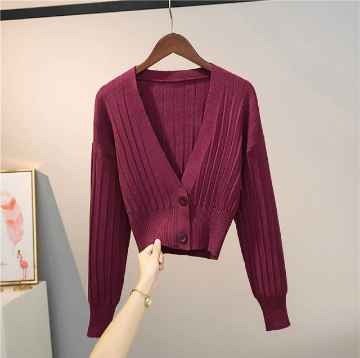 Moderne cropped trui met ronde hals voor dames, essentiële kleding voor elk seizoen.