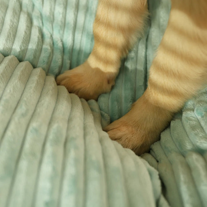 Een tevreden hond slaapt heerlijk op een orthopedisch hondenkussen, genietend van de superieure ondersteuning en comfort.