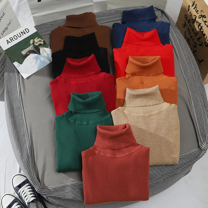 Stijlvolle dames coltrui, lange mouwen. Gebreid en effen, comfortabel voor de winter.