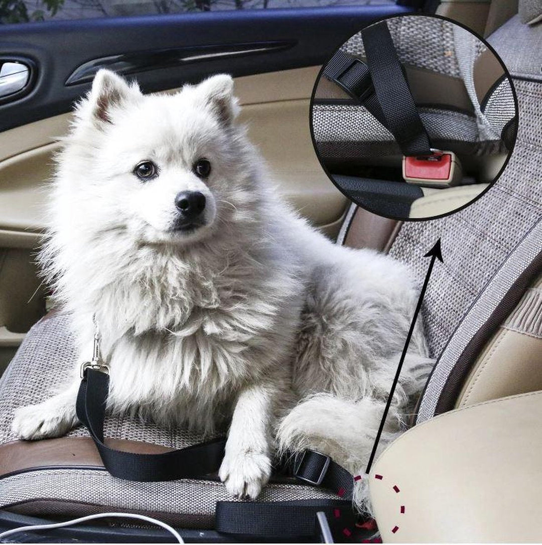 Veiligheidsgordel hond: Duurzame veiligheidsgordel voor honden, speciaal voor auto. Voorkom afleiding en reis veilig met je huisdier.