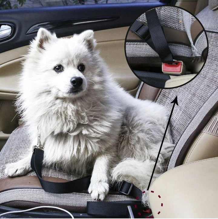 Veiligheidsgordel hond: Duurzame veiligheidsgordel voor honden, speciaal voor auto. Voorkom afleiding en reis veilig met je huisdier.