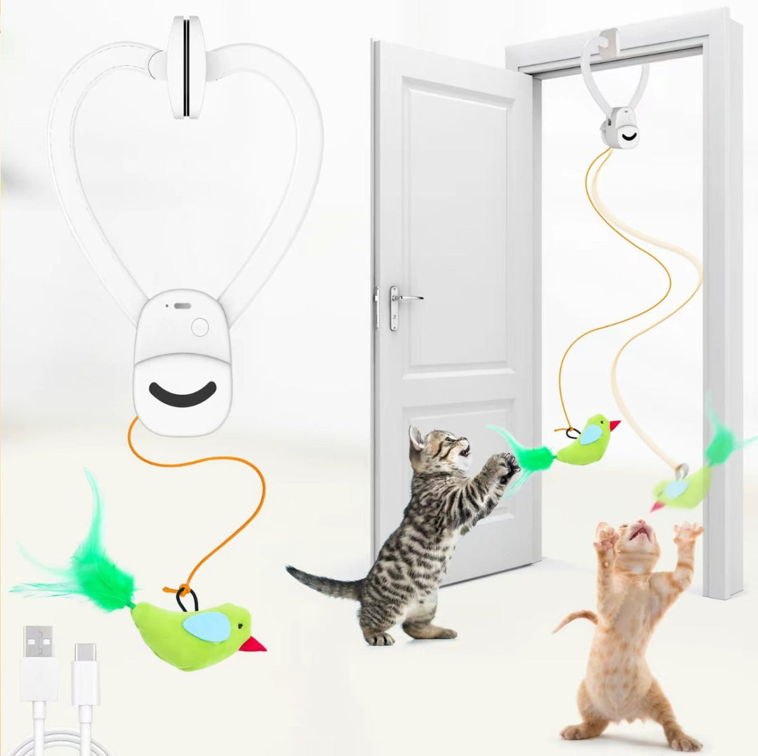 Het vliegende vogel speelgoed zweeft, perfect interactief kattenspeelgoed dat jachtinstinct van katten activeert.