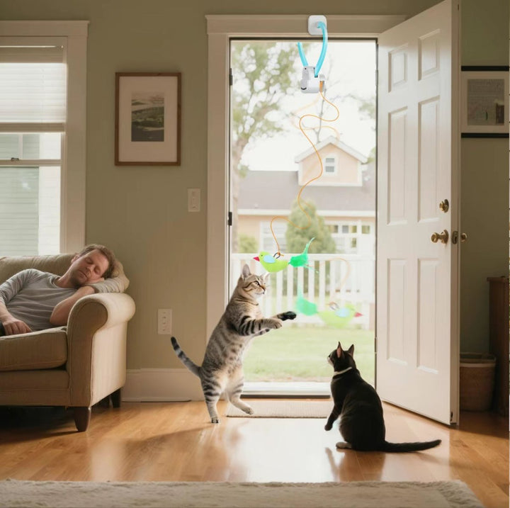 Kat jaagt speels op het interactieve vliegende vogel speelgoed, stimuleert jachtinstinct en activiteit.