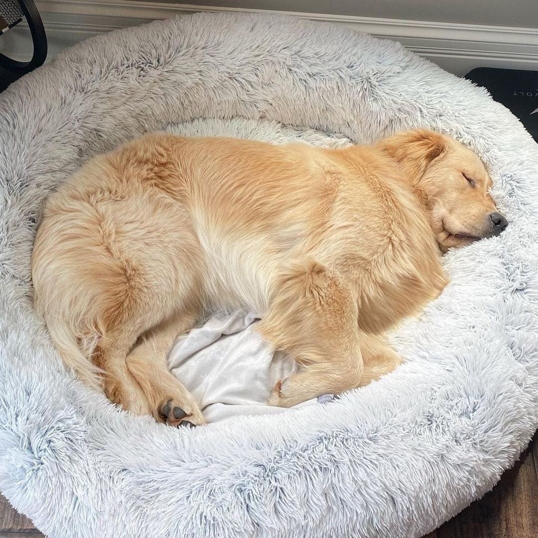 Pluizige kalmerende honden- & kattenmand voor ultiem comfort en ontspanning van je huisdier.