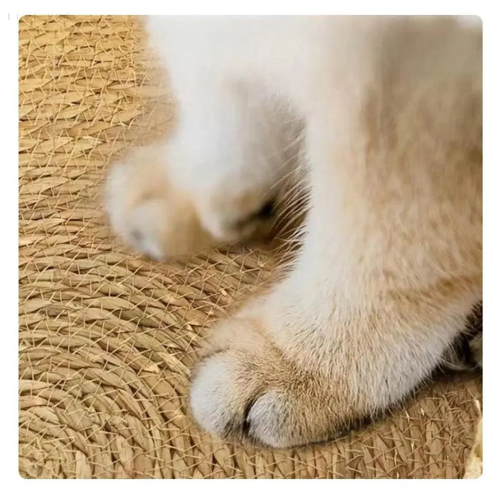 Groot kattenbed, zacht en knus, ideaal voor ontspanning van kleine, oude en grote katten.