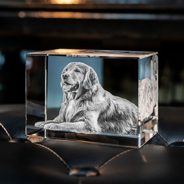 Uniek fotokristal met 3D gravure van een huisdier, een emotioneel aandenken en gepersonaliseerd dierencadeau.