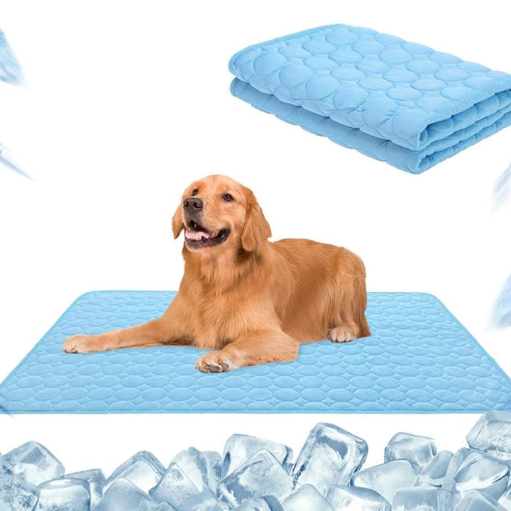 Verkoelende gelmat voor honden en katten; biedt direct zomercomfort en verkoeling voor huisdieren.