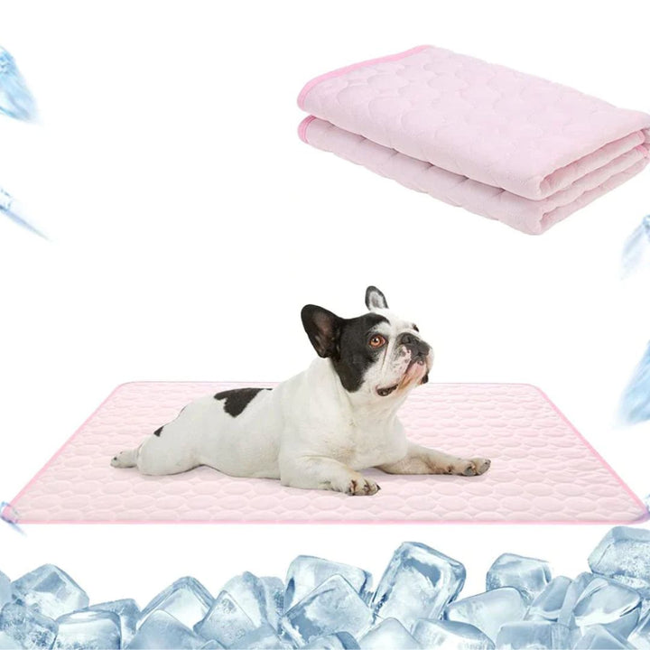 Draagbare koelmat voor huisdieren; zorgt voor comfort en verkoeling voor hond en kat in de zomer.
