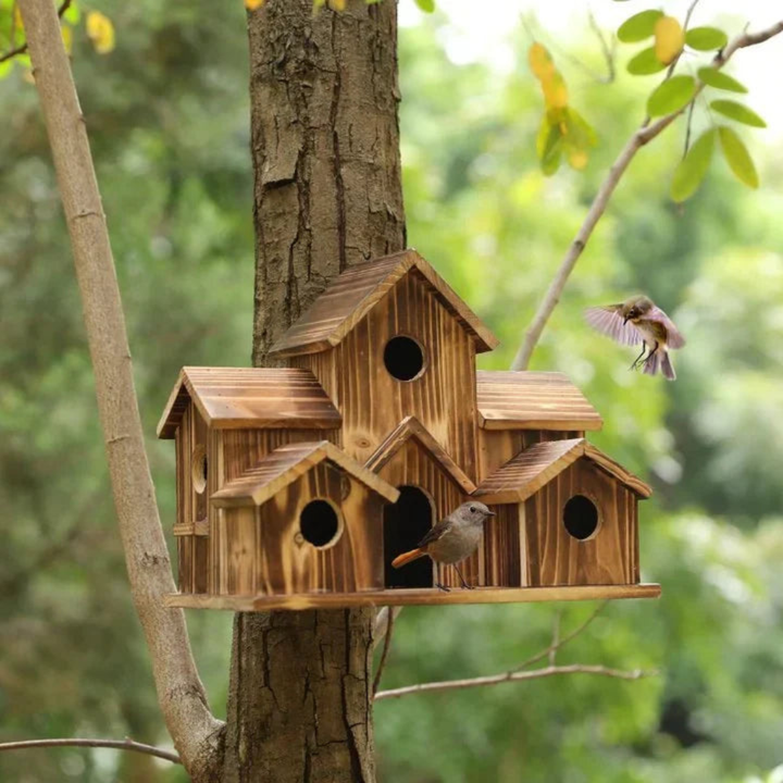 Gedetailleerd meervoudig vogelhuisje van dennenhout met 6 ronde openingen. Nodigt kleine tuinvogels uit.