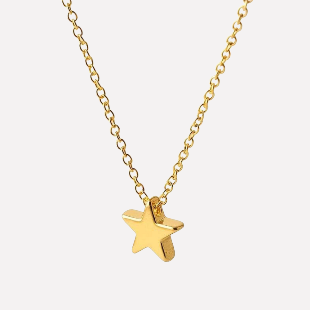 Goudkleurige dames halsketting met kleine ster hanger, een elegant accessoire en ideaal cadeau.