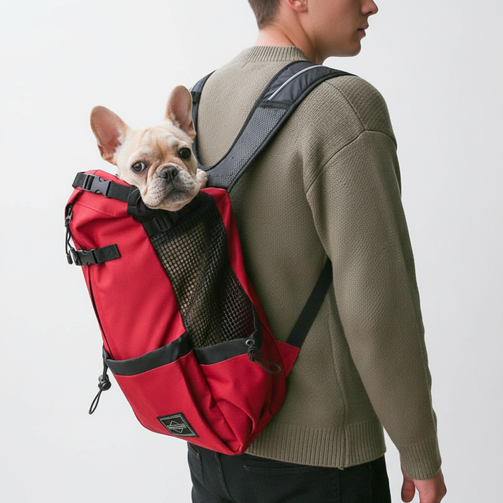 Praktische CompanionPack hondendraagrugzak; een essentieel hondenaccessoire voor dagelijkse uitstapjes en reizen.