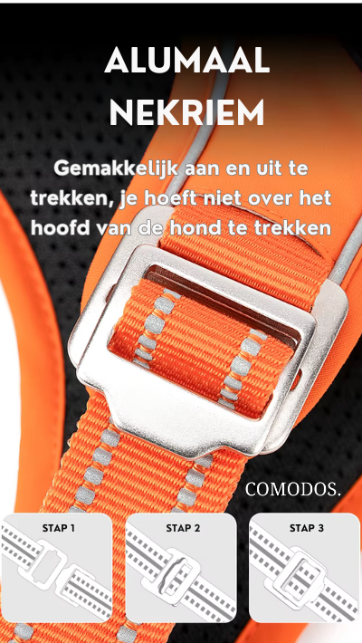 Reflecterend hondentuigje met verstelbare banden, ideaal voor veilige wandelingen in het donker.