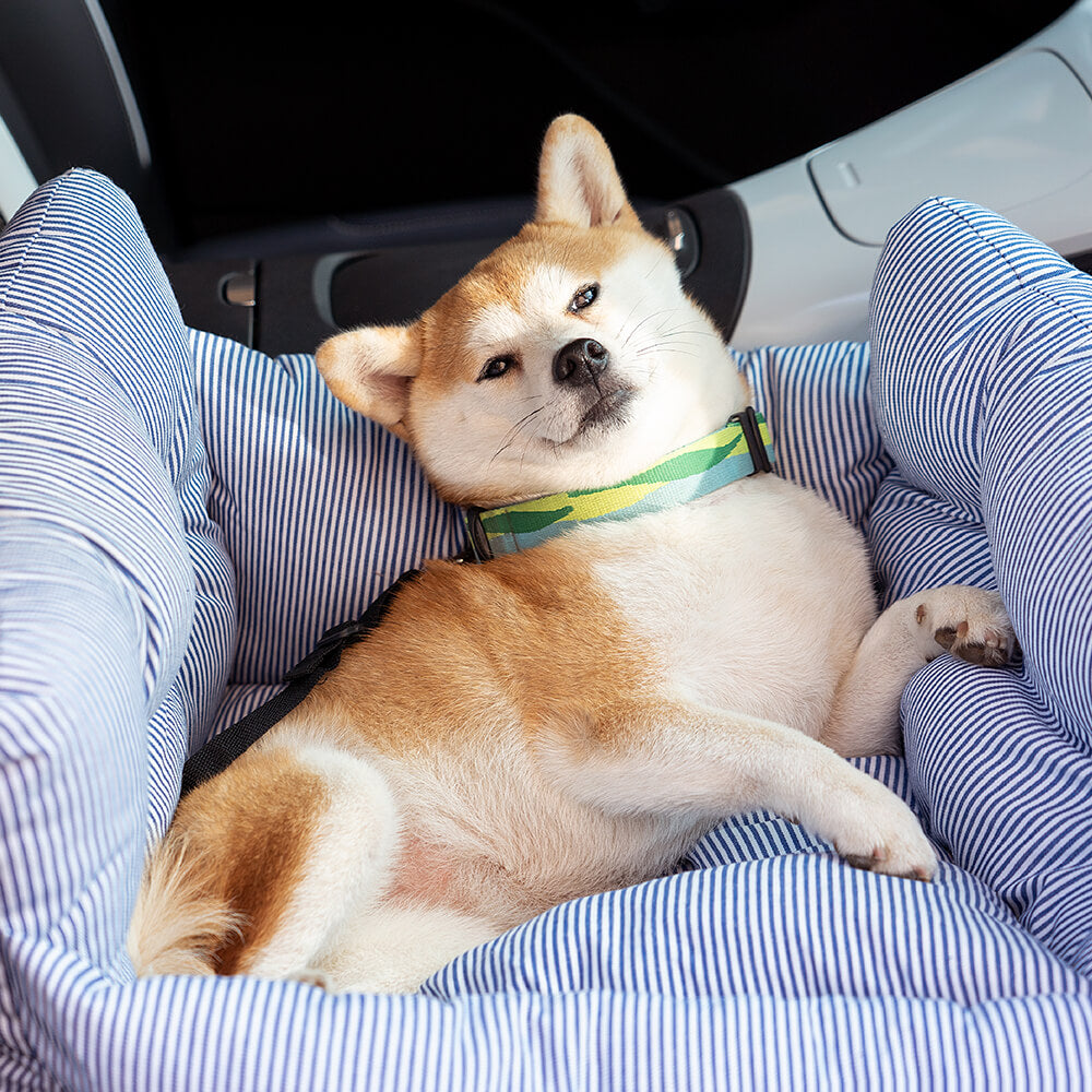 Autostoel voor hond: Met zachte voering voor optimaal reiscomfort van je dier.
