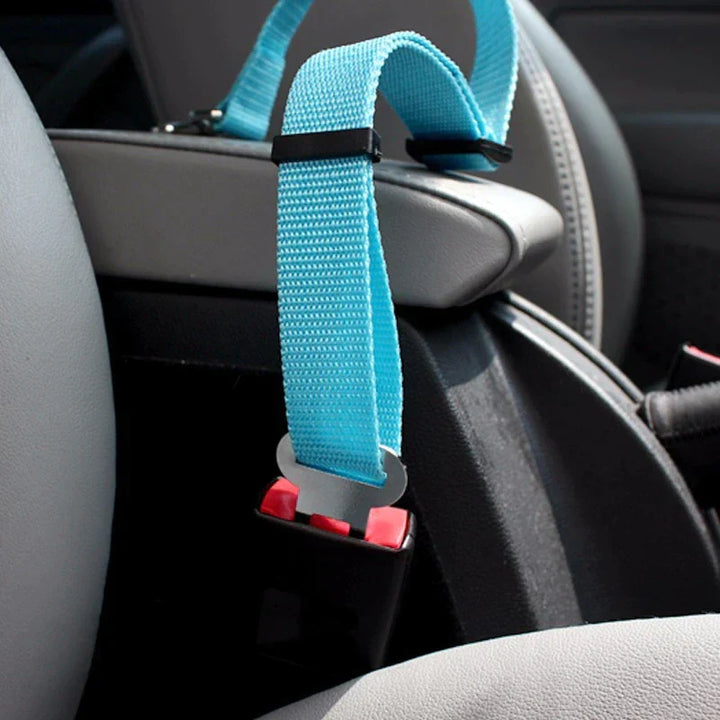 Comfortabele autogordel: Comfortabele nylon autogordel voor honden en katten. Optimaal reiscomfort en veiligheid in de auto.