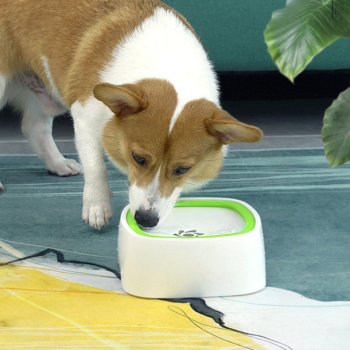 Spatvrije drinkbak voor honden & katten, voorkomt morsen van water, makkelijk schoon te maken.