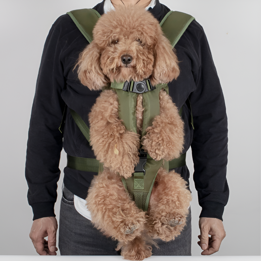 Comfortabele huisdier draagtas van oxfordstof, ideaal voor veilige reizen. Ademend en draagbaar voor hond of kat.