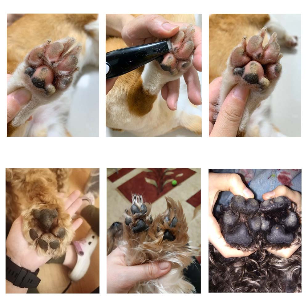 Draadloze PawPerfect trimmer in gebruik voor het veilig en voorzichtig trimmen van de vacht rondom de poten van huisdieren.