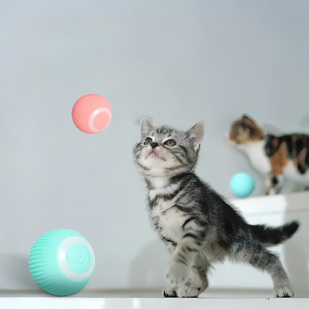 Compact rood WhiskRoll interactief speeltje; automatisch bewegen voor urenlang speelplezier voor katten.