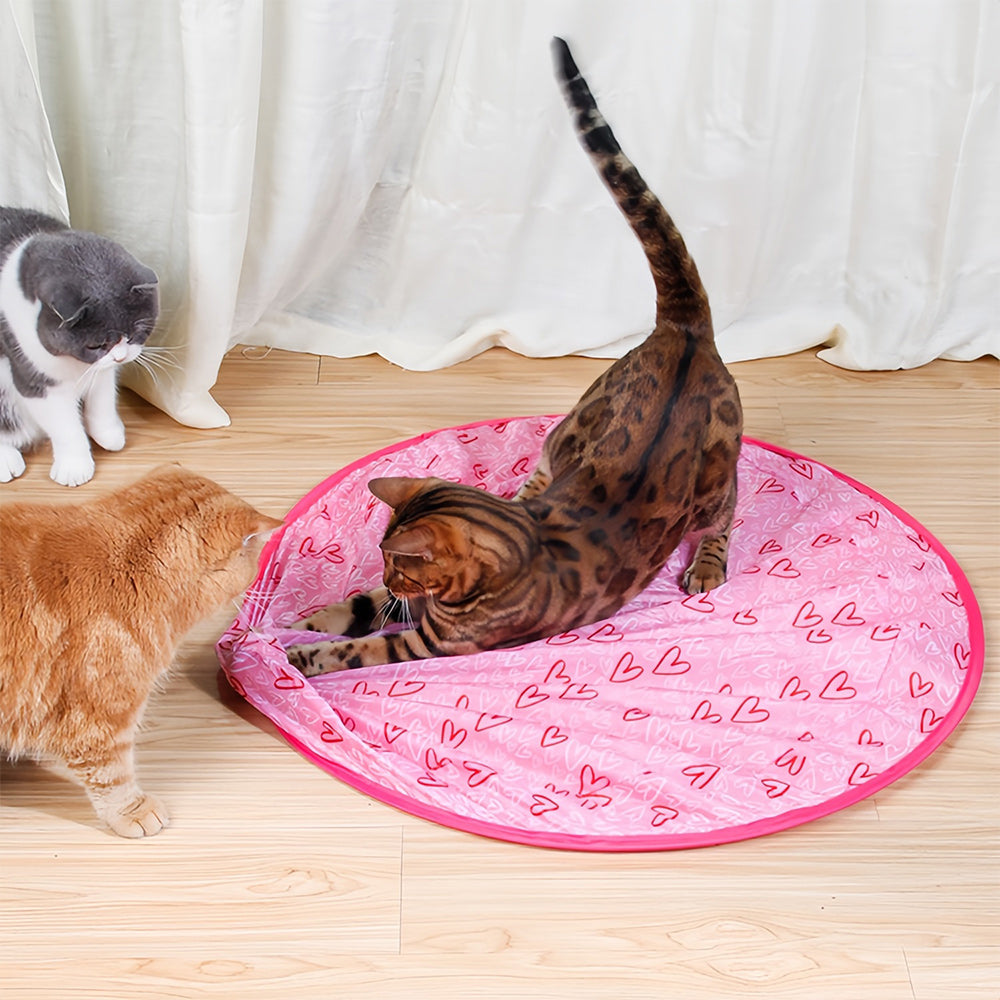 Blije kat geniet van eindeloos speelplezier met het innovatieve WhiskRoll bewegend kattenspeelgoed.
