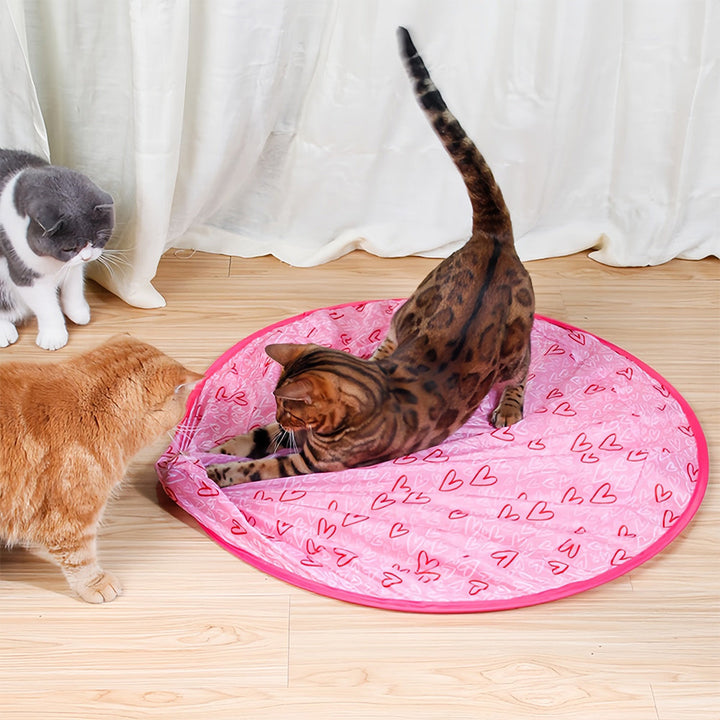 Blije kat geniet van eindeloos speelplezier met het innovatieve WhiskRoll bewegend kattenspeelgoed.
