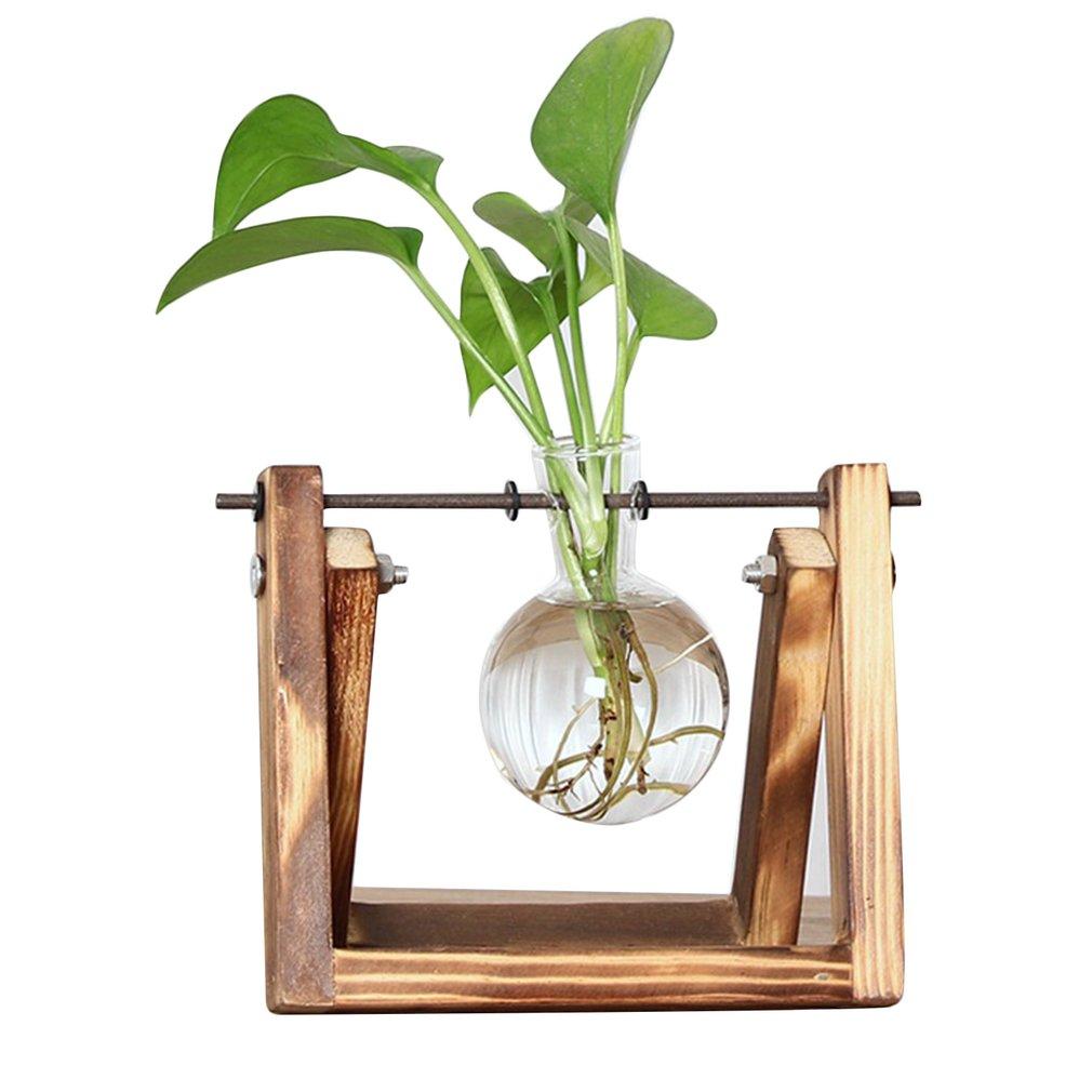 Unisex kweekset met glazen stekpotjes en houten standaard voor het stekken van planten thuis.