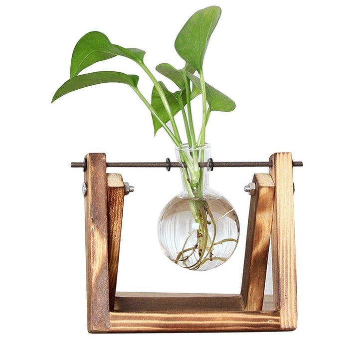 Unisex kweekset met glazen stekpotjes en houten standaard voor het stekken van planten thuis.
