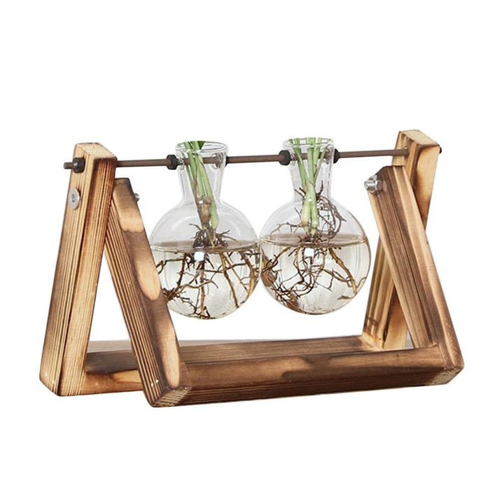 Elegante kweekset van glas en hout, ideaal voor het stekken van planten en als woondecoratie in elk interieur.