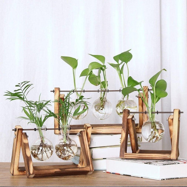 Perfect cadeau: unisex kweekset met glazen stekpotjes voor beginnende tuinliefhebbers en plantenverzorging.