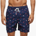 Navy & Vis