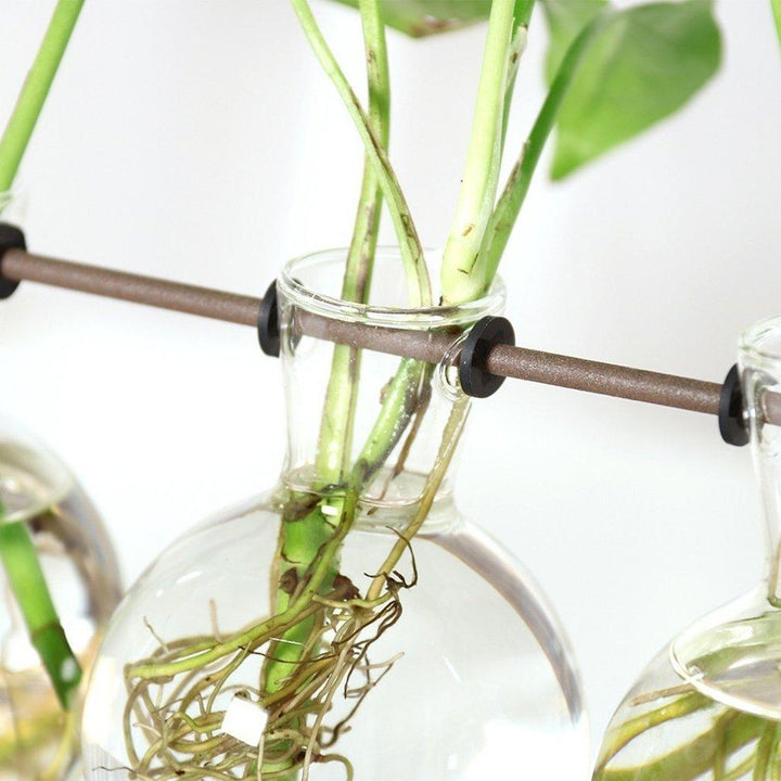 Duurzame kweekset voor eenvoudige plantenverzorging; creëer meer groen in huis met deze stekpotjes.