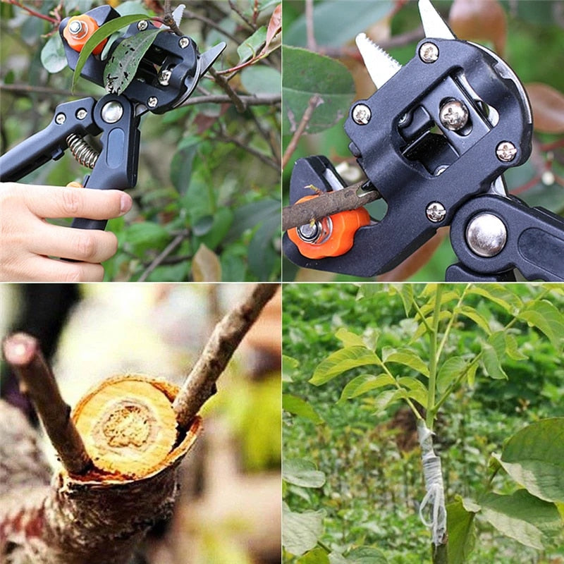Robuuste takkenschaar voor veelzijdig tuinieren; perfect voor snoeien van fruitbomen, rozen & plantenverzorging.