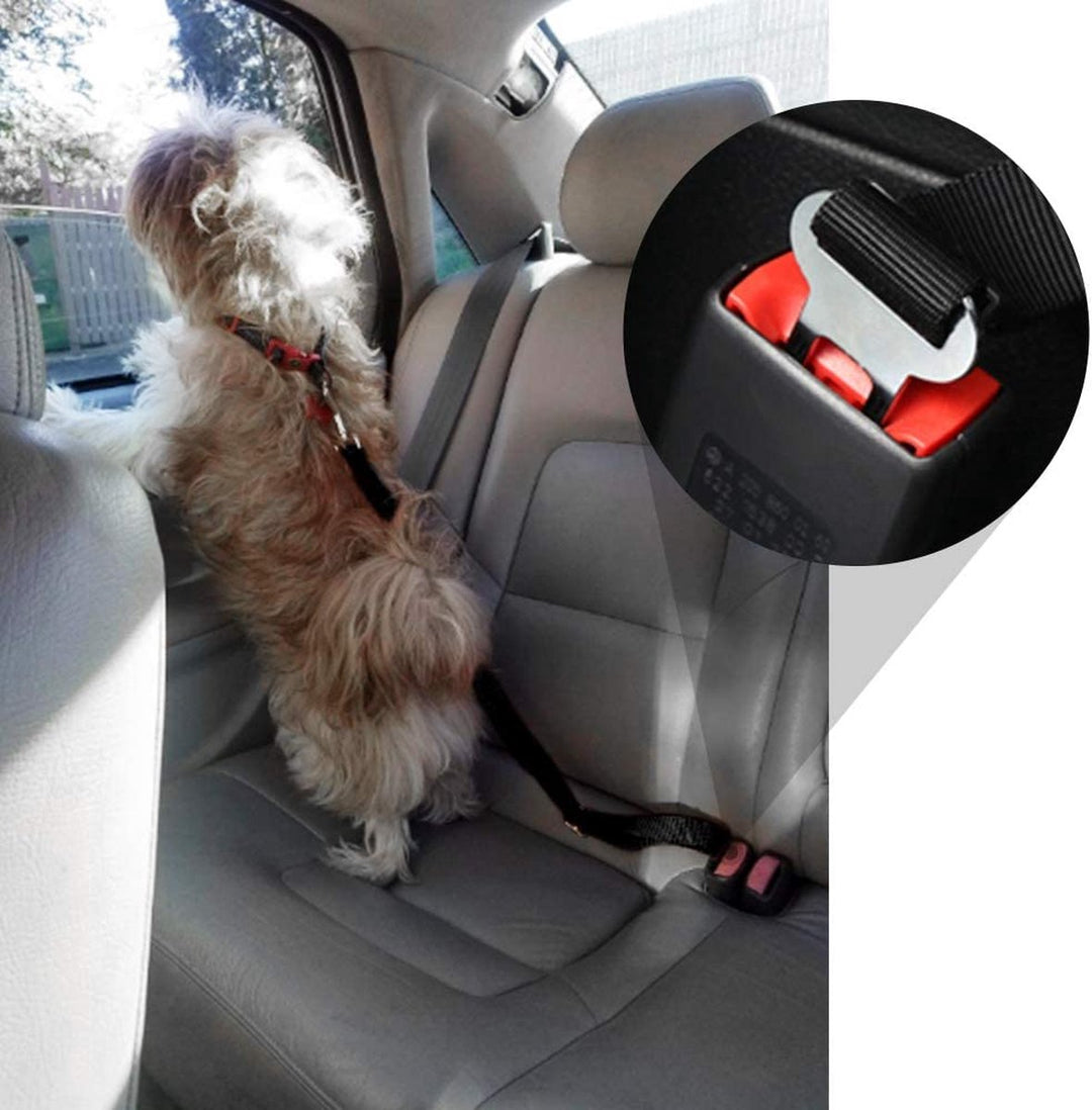 Hondentransport riem: Essentiële riem voor veilig hondentransport in de auto. Houdt je hond stabiel en veilig tijdens elke rit.