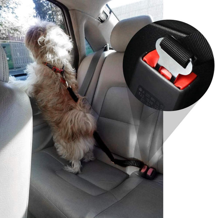 Hondentransport riem: Essentiële riem voor veilig hondentransport in de auto. Houdt je hond stabiel en veilig tijdens elke rit.