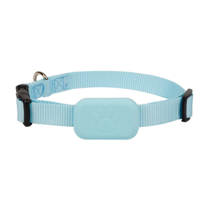 Compacte GPS tracker voor hond en kat. Waterbestendig apparaat om huisdier veilig te volgen en altijd terug te vinden.