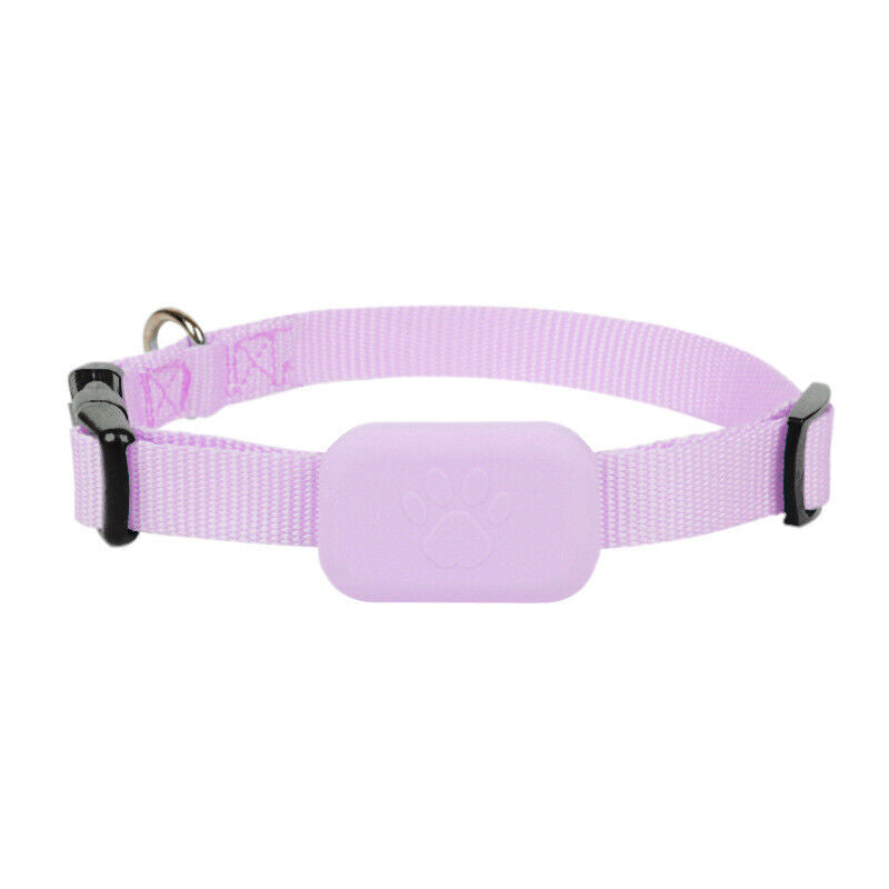 Hond met waterbestendige GPS tracker aan halsband. Vind je verloren huisdier snel terug via realtime tracking.