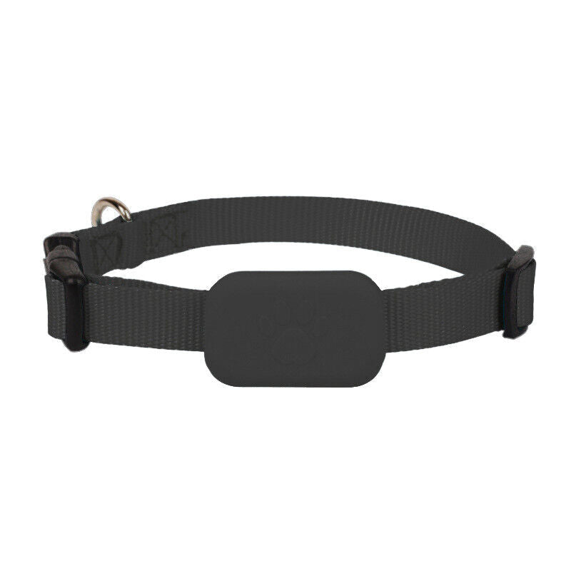 Dieren GPS tracker voor kat en hond. Veiligheid en gemoedsrust, volg de locatie van je huisdier overal vandaan.