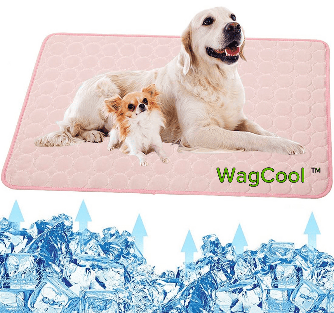 Duurzame koelmat voor honden. Biedt langdurige verkoeling en comfort tijdens een hittegolf.