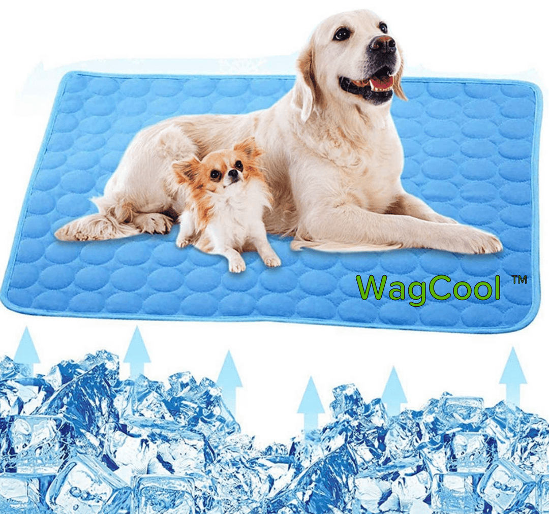 Comfortabele koelmat biedt directe verlichting. Essentieel huisdieraccessoire voor honden bij warm weer.