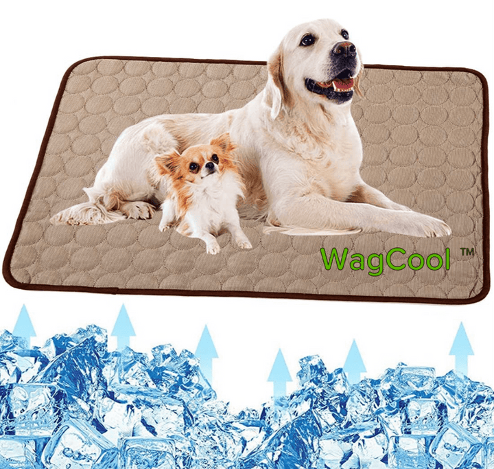 Wasbare verkoelende hondenmat, een must-have voor zomerse dagen. Houdt je huisdier koel en comfortabel.