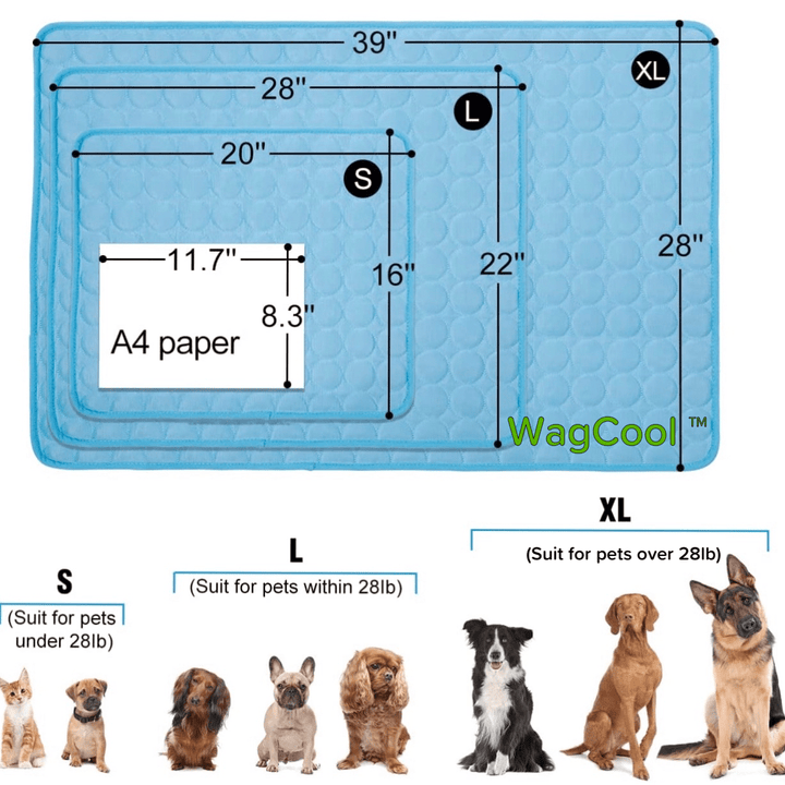 Effectieve koelmat voor huisdieren. Zorgt voor snelle verkoeling, ideaal voor honden tijdens warme zomerdagen.