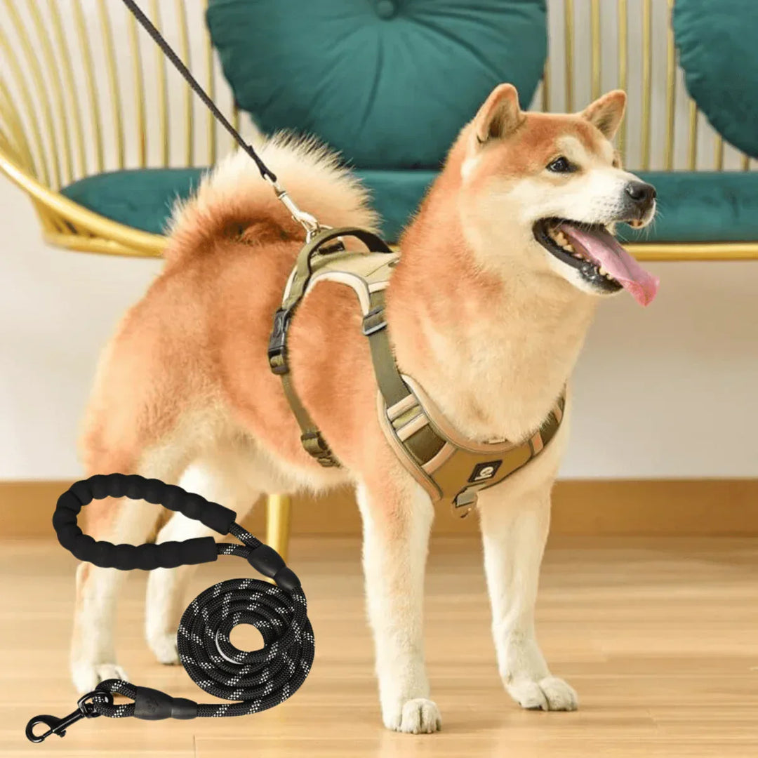 Hondentuig anti-trek, ontworpen voor comfortabele en ontspannen wandelingen met puppy's en volwassen honden.
