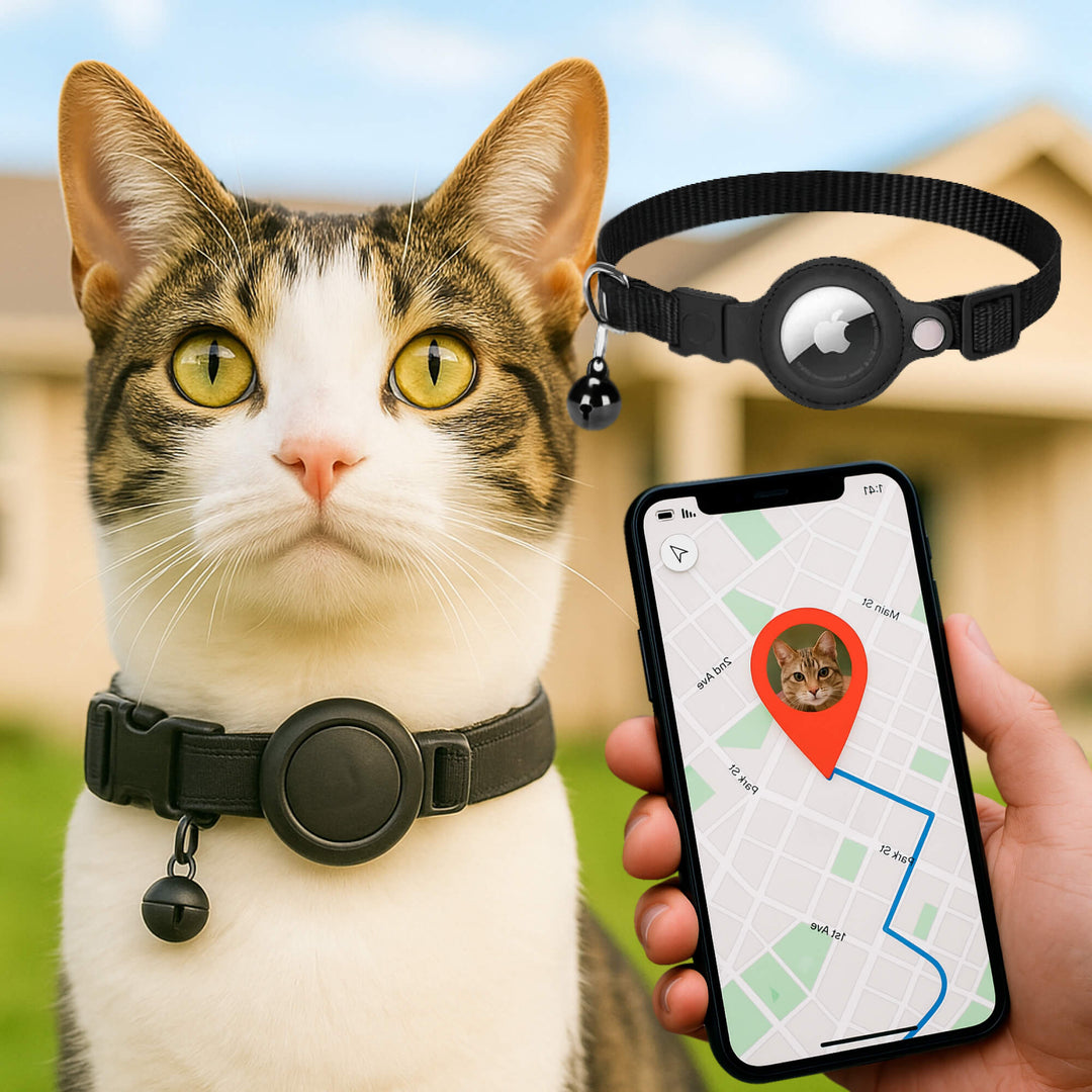 Zwarte GPS halsband voor katten met reflecterende streep, voor veiligheid en tracking.
