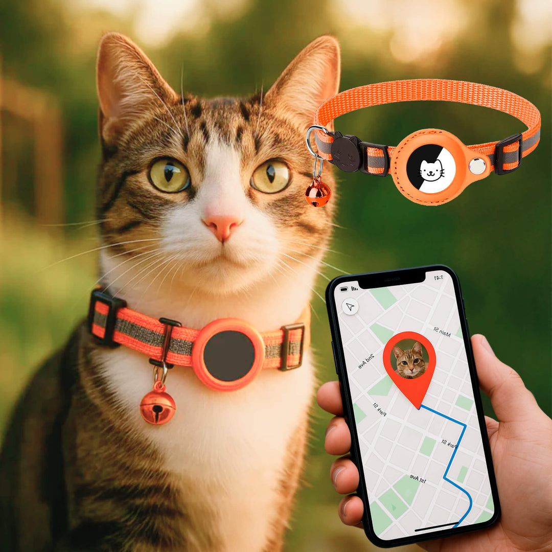 Smart GPS halsband voor katten, volgt hun bewegingen en activiteit in real-time.