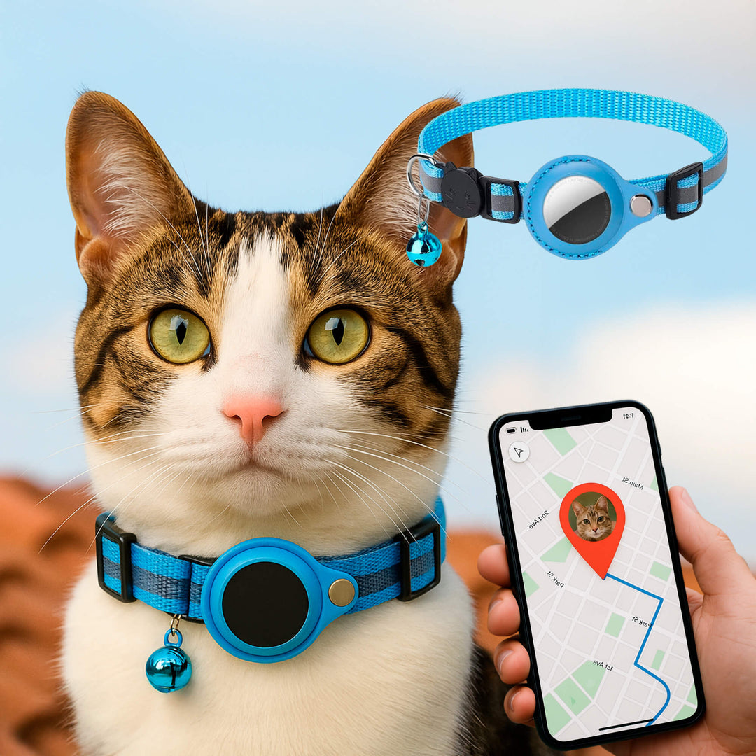 Lichtgewicht GPS-halsband voor katten, comfortabel zonder irritatie voor de nek.