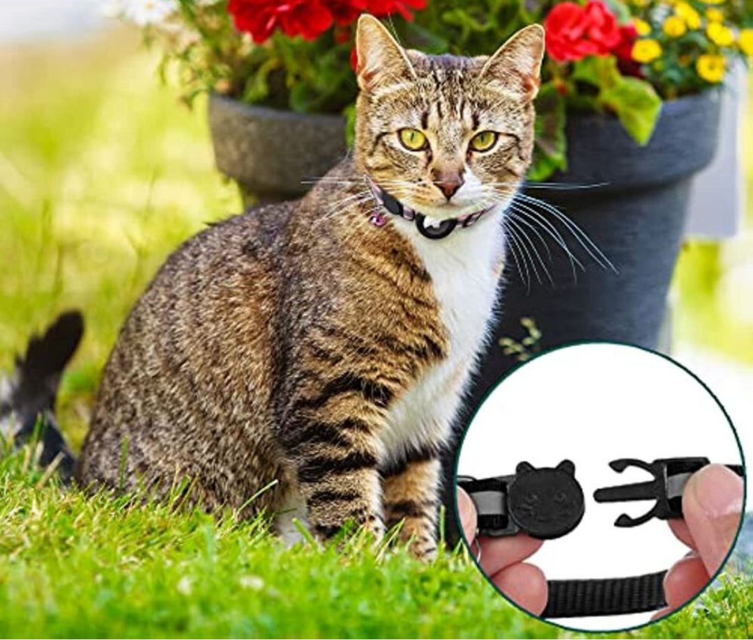 Oranje reflecterende GPS halsband voor katten, verhoogt zichtbaarheid en vindbaarheid.