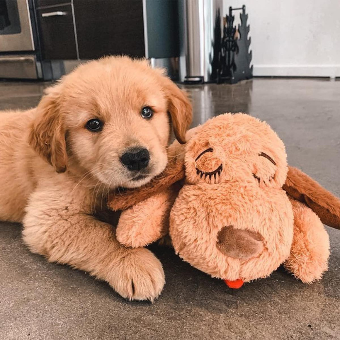 Zachte dieren knuffelbuddy voor honden en katten, helpt bij stress en angstverlichting.