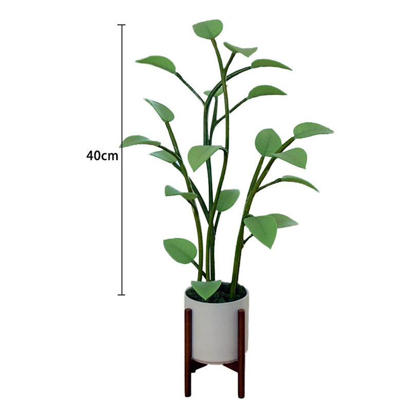 Prachtige LED plantlamp voor woonkamer, creëert magische sfeer met dynamisch kleurveranderend licht.