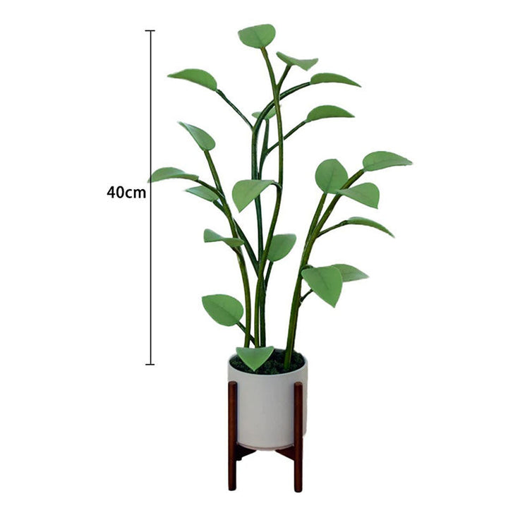 Prachtige LED plantlamp voor woonkamer, creëert magische sfeer met dynamisch kleurveranderend licht.