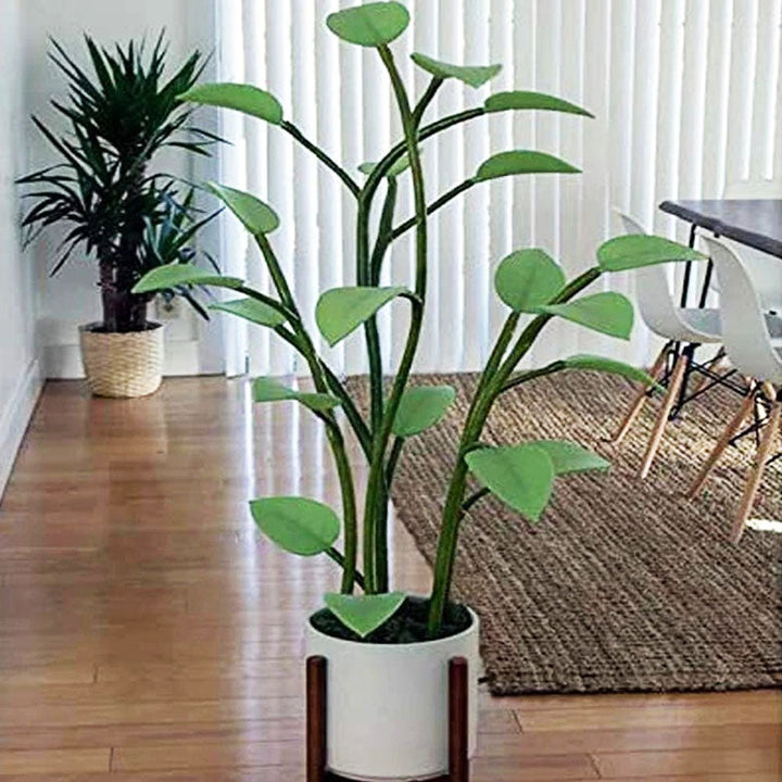 Uniek cadeau: magische kleurveranderende LED plantenlamp voor sfeervolle interieur decoratie en planten.