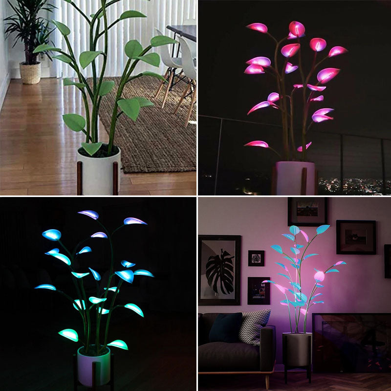 Blikvanger voor interieur: magische LED plantenlamp met kleurveranderend licht; creëert unieke sfeer.
